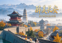 【醉美长安】亲子西安双高4日游