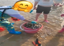 【日照万宝赶海园】半日游